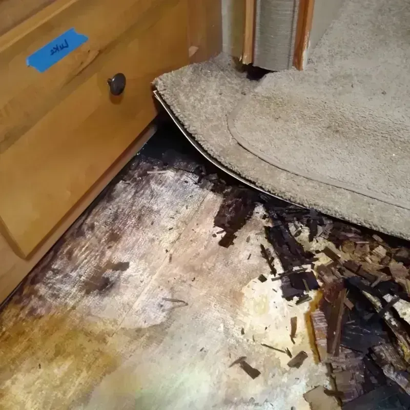 Wood Floor Water Damage in Lake Hallie, WI